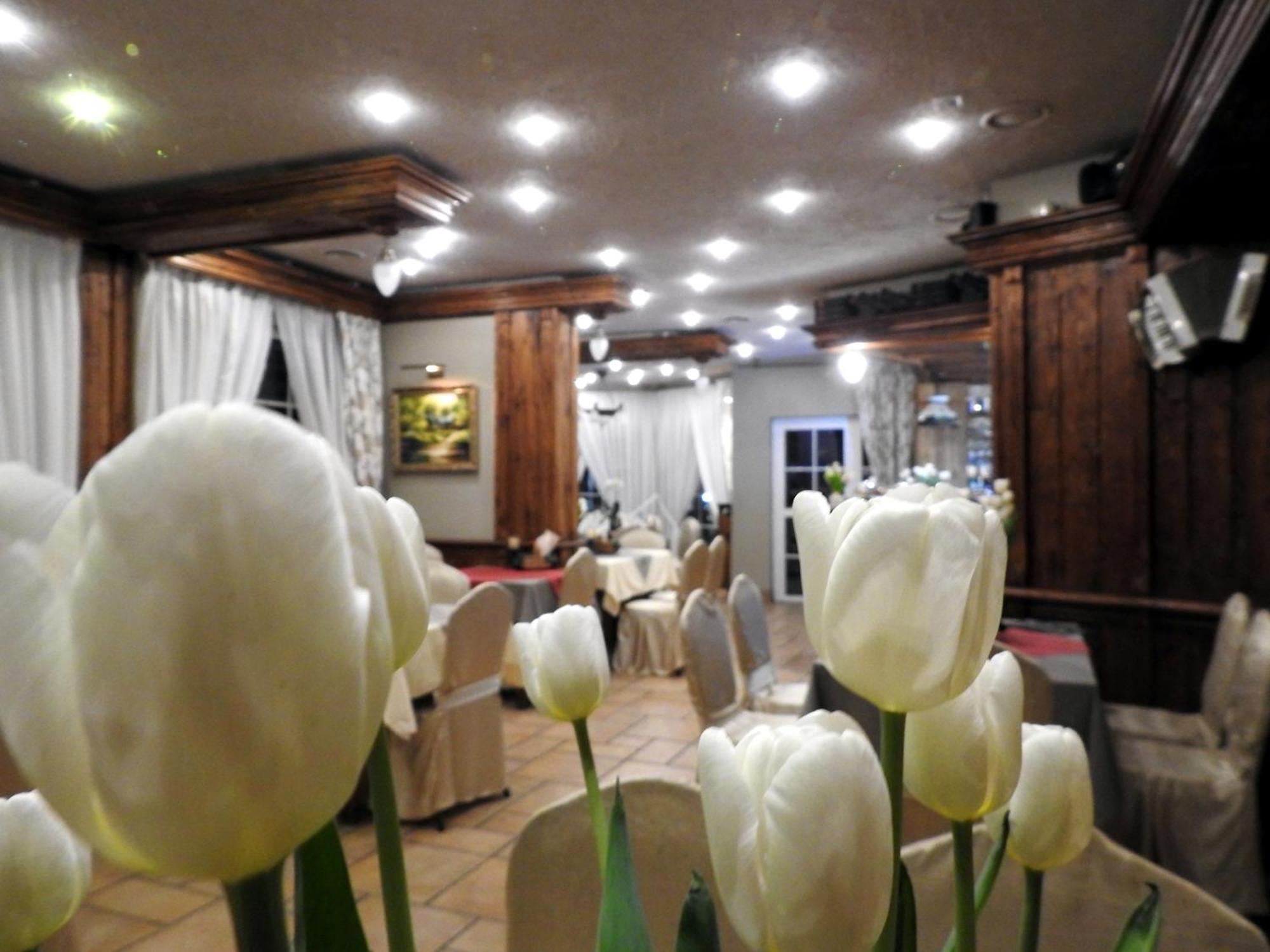 Motel I Restauracja Zodiak Szalsza